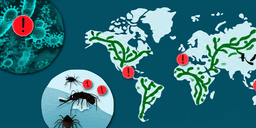 Public health risks