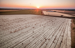 Soil degradation issue