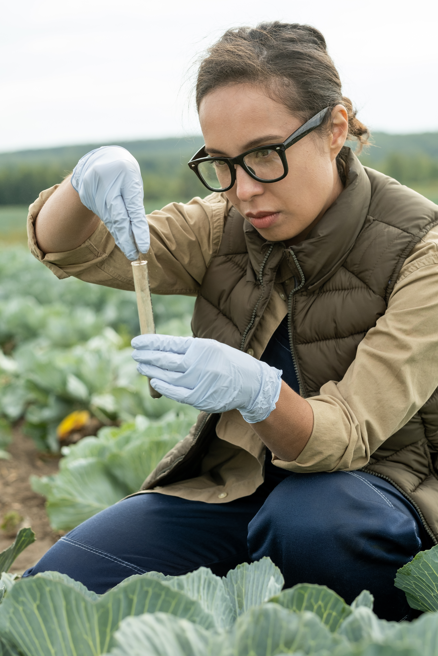 Healthy Soil Microbiome